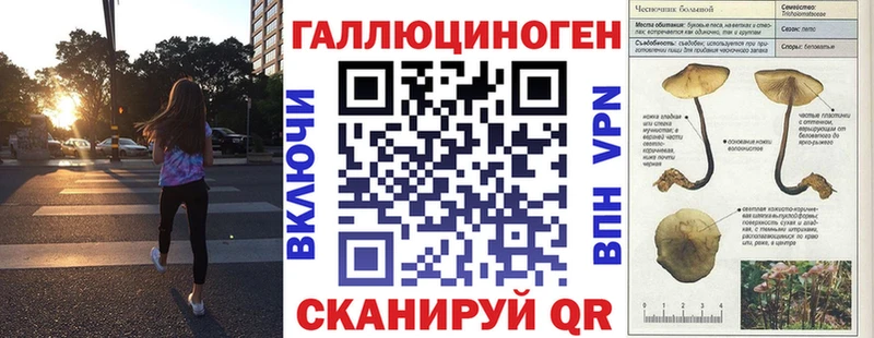 Галлюциногенные грибы MAGIC MUSHROOMS  купить  цена  Томмот 
